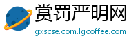 赏罚严明网